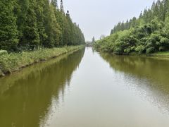 -黄海国家森林公园