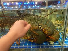 -华威西营里农产品批发市场