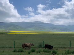 -青海湖国家重点风景名胜区