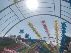 -衢州飞鸿滑草场
