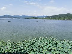 -湖畔居茶楼(湖滨店)