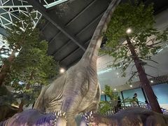 -湖南省地质博物馆