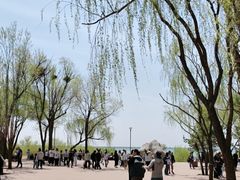 -红碱淖景区