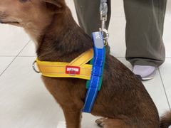-美联众合动物医院·24h京西诊疗中心