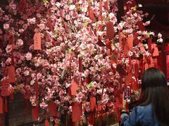 -茶马花街(城西银泰城店)