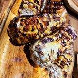 第N次打卡楼兰秘烤