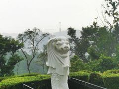 -花柏山公园