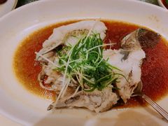 清蒸笋壳鱼-南海渔村(珠江新城店)
