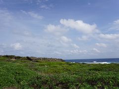 -龙坑生态保护区