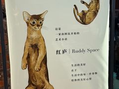 -大理床单厂艺术区