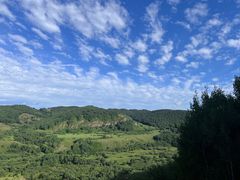 -御道口草原森林风景区