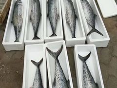 -青岛沙子口国家中心渔港