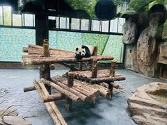 -上海野生动物园