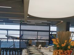 -上海浦东国际机场-T2航站楼