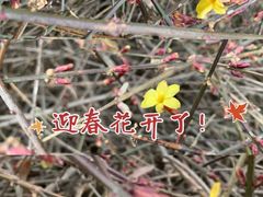 -银泰百货(北京大红门店)