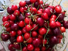 -重振华中蔬菜批发市场(重庆中路店)