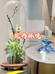 -医颜医疗美容门诊部