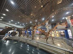 -国家自然博物馆