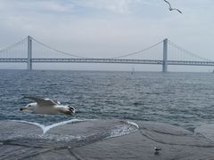 -星海广场