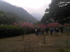 -福清灵石山国家森林公园