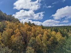 -塞罕坝国家级自然保护区