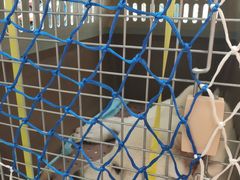 -厦门高崎国际机场-T3航站楼
