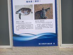 -硇洲岛旅游区