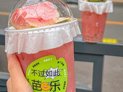 -伏小桃(明瓦廊店)