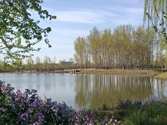 -东郊湿地公园