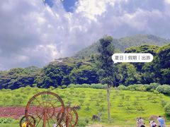 -广州市石门国家森林公园