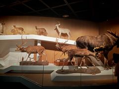 -陕西自然博物馆