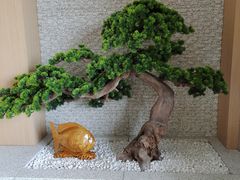 -皇朝海鲜酒店