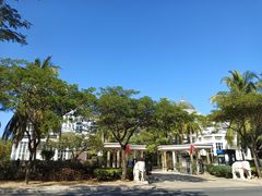 -中国沙滩排球队三亚训练基地