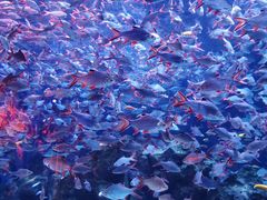 -成都浩海立方海洋公园