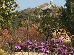 -云峰山自然风景区