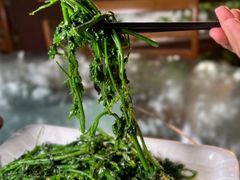 -兴隆槟榔园休闲农庄