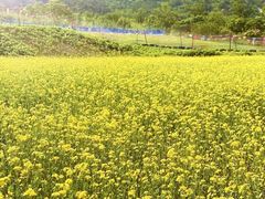 -北京凤凰岭