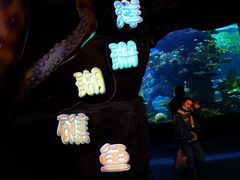 -多彩贵州城极地海洋世界