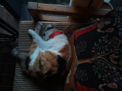 -BUND·FIVE外滩5号(天际店)