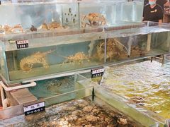 水产区-猪肉婆私房菜(容桂总店)
