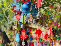 -西双版纳原始森林公园