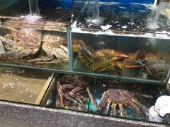 -蚝专家(北滘店)