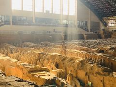 -秦始皇帝陵博物院(兵马俑)