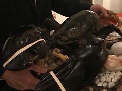 -上海和平饭店龙凤厅 Dragon Phoenix