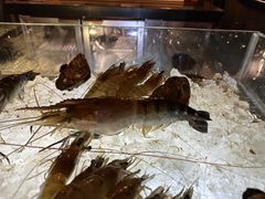 -Ministry of Crab(科伦坡店)