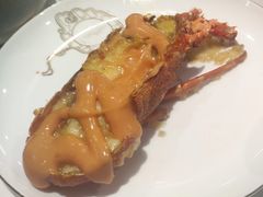 小青龙-海友荟•鲸彩(济宁爱琴海店)