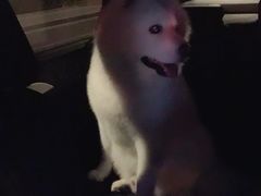 -乐宠宠物店(世纪金源店)