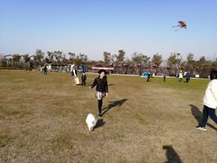 -春花秋色城市公园