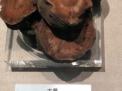 -青藏高原自然博物馆