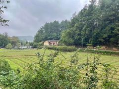 -韶山毛泽东同志故居